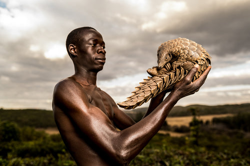 Patrick Jnr’s Pangolin Collection, in collaboration with the photographs by Adrian Stern, raises incredible awareness on a global scale for the plight of the world’s most trafficked mammals.