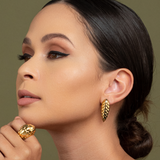 Pangolin Haka Earrings in 18K Gold