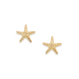 Starfish Petite Studs in 18K Gold