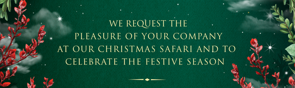 Nairobi Christmas Safari 2025