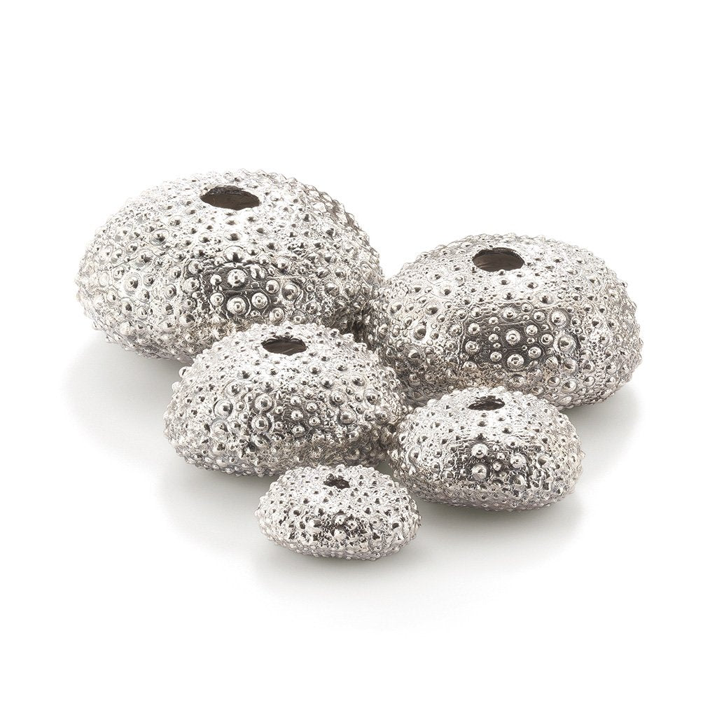 Sea Urchin Family Sculptures in Sterling Silver - Medium