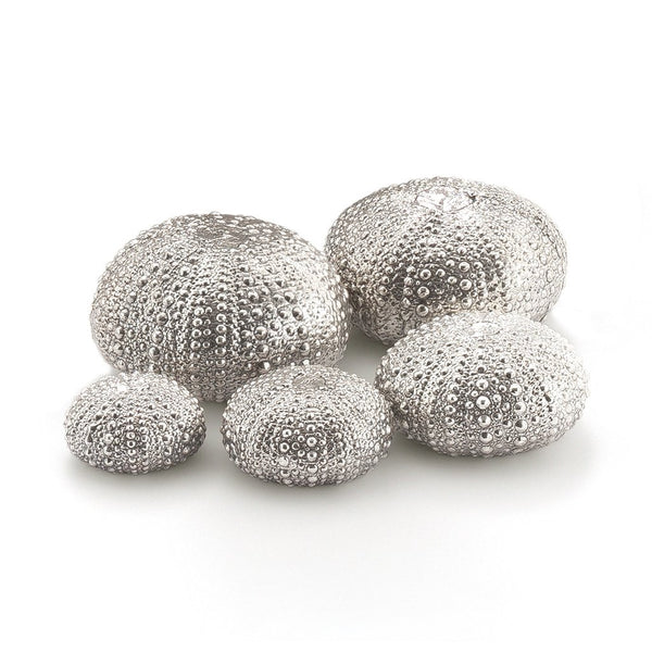 Sea Urchin Family Sculptures in Sterling Silver - Small