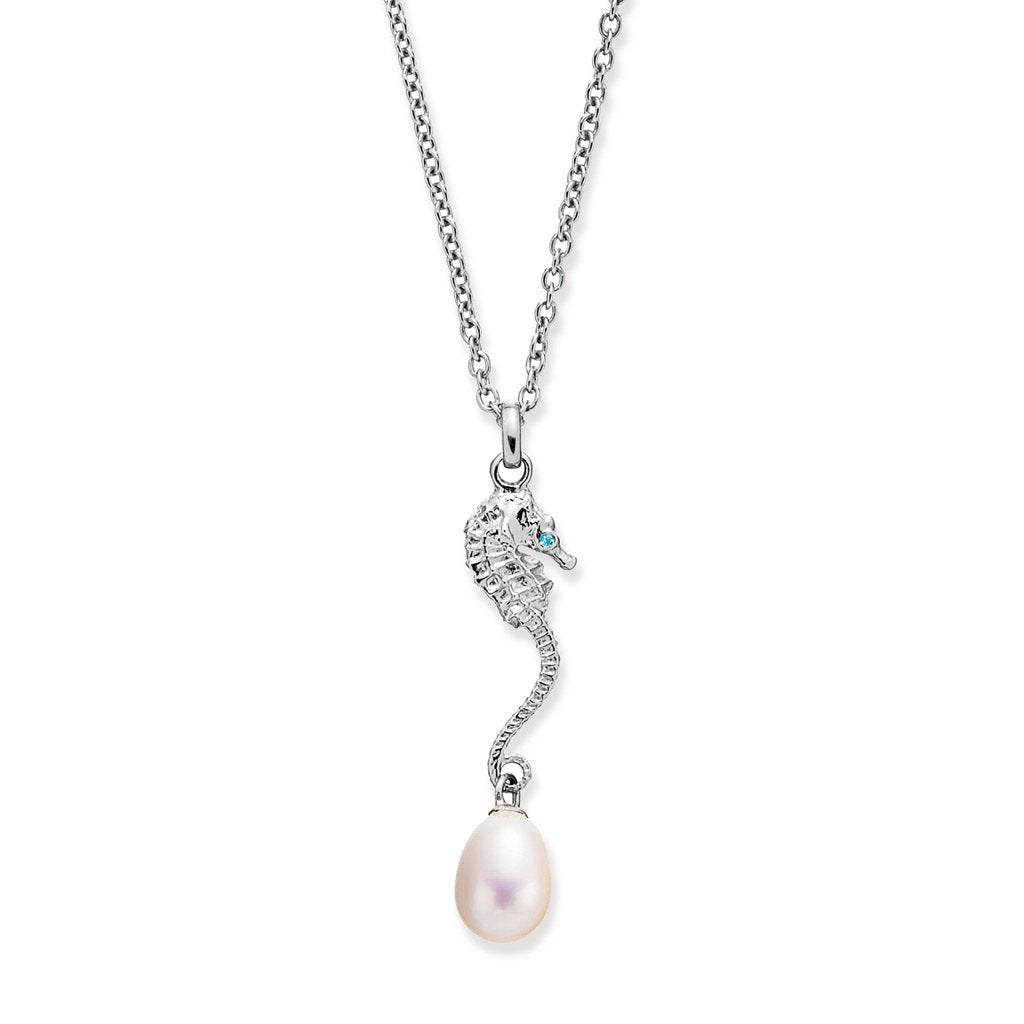 Treasure Silver Necklace