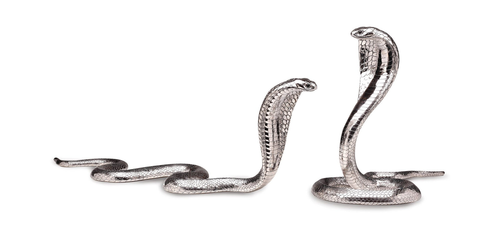MONITOR COBRA SILVER 2.50 QMM 6mペア The_Egyptian_Cobra_Pair_in_Ste