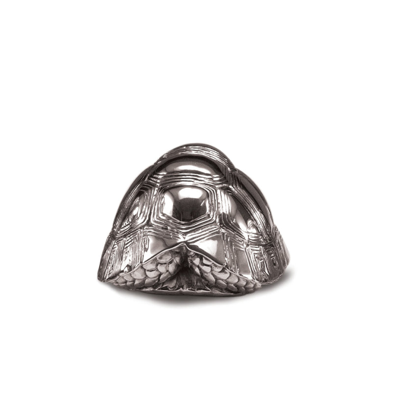 Tortoise Female in Silver - No. 3