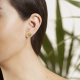 Xigera Stud Earrings in 18K Gold - Large